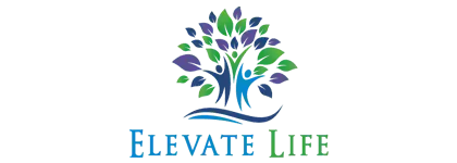 FitAndFree Wellness Hub